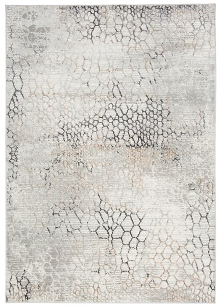 Makro Abra Moderní kusový koberec PORTLAND G513A bílý béžový Rozměr: 160x220 cm