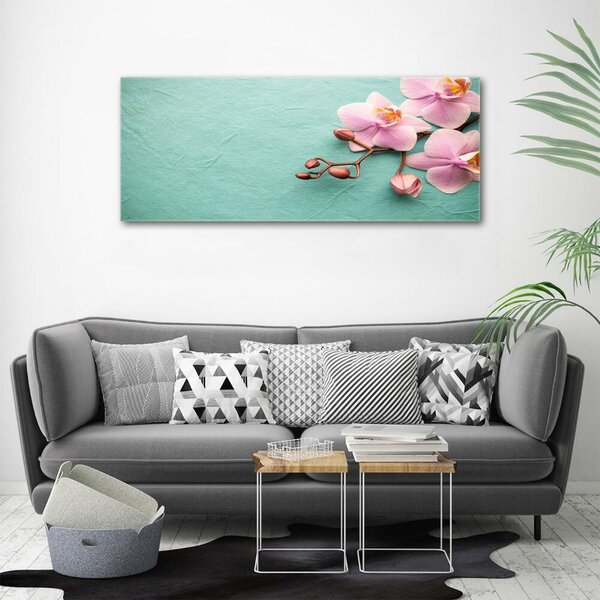 Foto obraz sklo tvrzené Orchidej osh-102905480