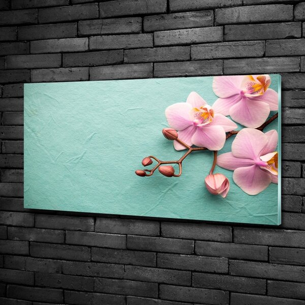 Foto obraz sklo tvrzené Orchidej osh-102905480