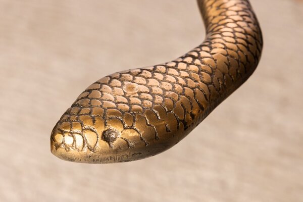 Odkládací stolek WILDLIFE SNAKE 60 CM antik měděný Nábytek | Doplňkový nábytek | Odkládací stolky