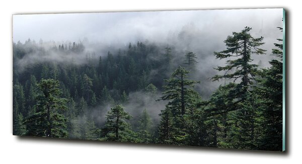 Foto obraz fotografie na skle Lesní mlha osh-103817714
