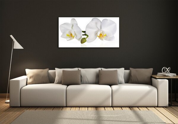 Foto obraz skleněný horizontální Orchidej osh-103920801