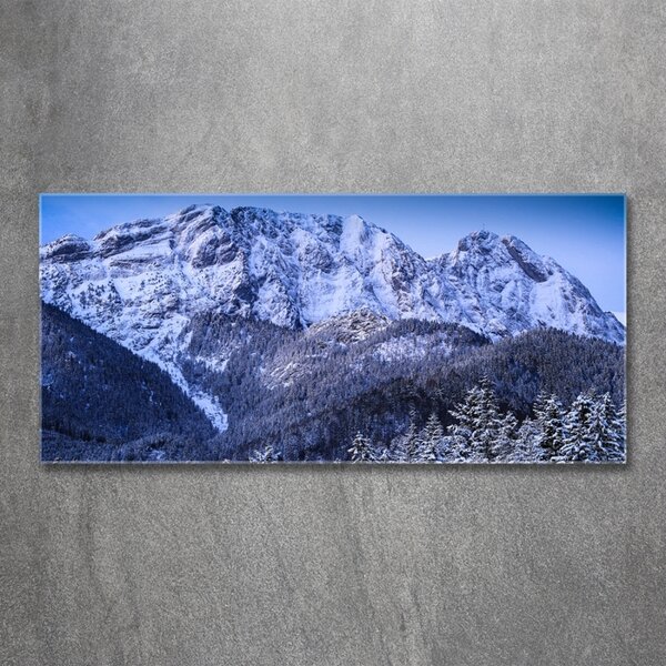 Fotoobraz na skle Gievont Tatry osh-104104346