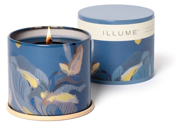Vonná svíčka doba hoření 50 h Citrus Crush – ILLUME x Bloomingville