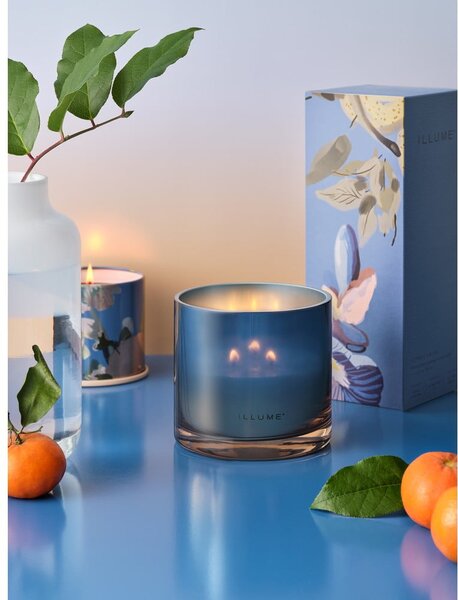 Vonná svíčka doba hoření 50 h Citrus Crush – ILLUME x Bloomingville
