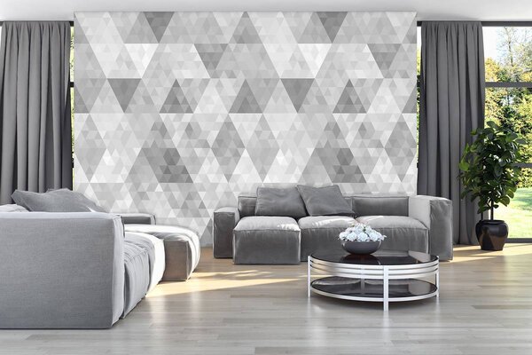 Fototapeta - Trojúhelník (152,5x104 cm)