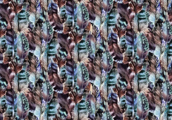 Fototapeta - Peří (152,5x104 cm)