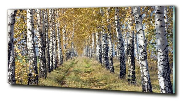 Foto obraz skleněný horizontální Břízy podzím osh-105179971