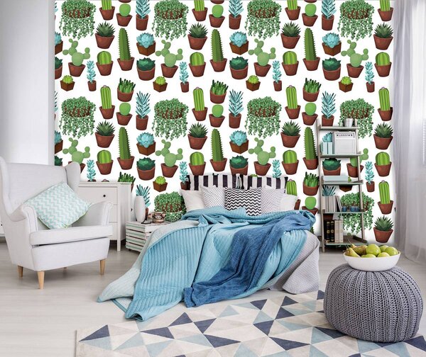 Fototapeta - Kaktus (152,5x104 cm)