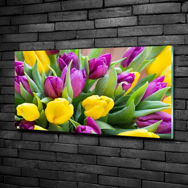 Foto obraz sklo tvrzené Barevné tulipány osh-106061917