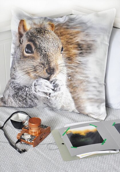 Dekorační povlak Squirrel