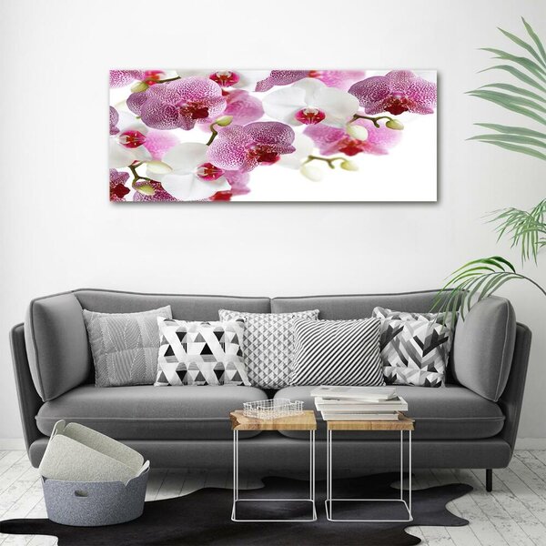 Foto obraz sklo tvrzené Orchidej osh-107506962