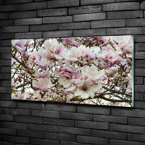 Foto obraz sklo tvrzené Květiny magnolie osh-107287859