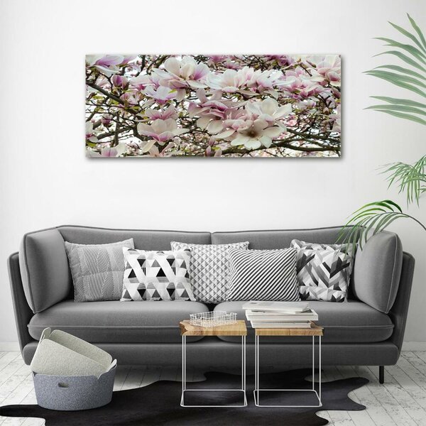 Foto obraz sklo tvrzené Květiny magnolie osh-107287859