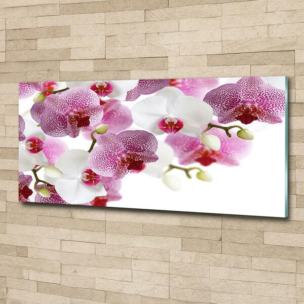 Foto obraz sklo tvrzené Orchidej osh-107506962