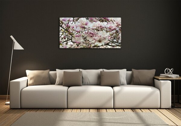 Foto obraz sklo tvrzené Květiny magnolie osh-107287859