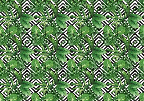 Fototapeta - Geometrie a listy (152,5x104 cm)