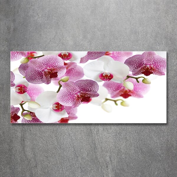 Foto obraz sklo tvrzené Orchidej osh-107506962