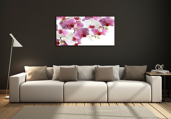 Foto obraz sklo tvrzené Orchidej osh-107506962
