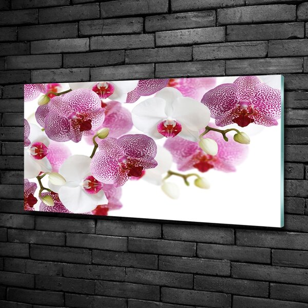 Foto obraz sklo tvrzené Orchidej osh-107506962