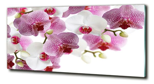Foto obraz sklo tvrzené Orchidej osh-107506962