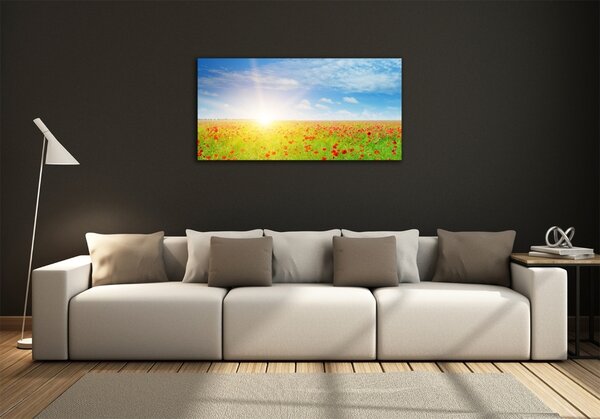 Foto obraz skleněný horizontální Pole máků osh-107946485
