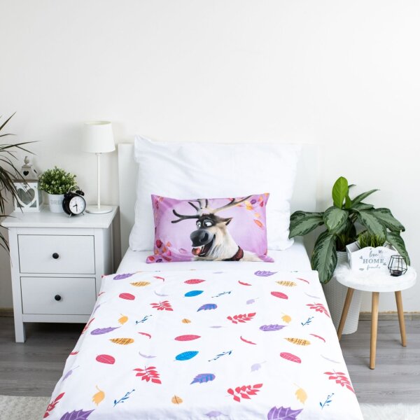 Jerry Fabrics Disney povlečení do postýlky Frozen 2 Wind 03 baby 100x135, 40x60 cm