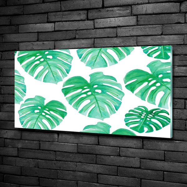 Foto obraz skleněný horizontální Monstera osh-108948322