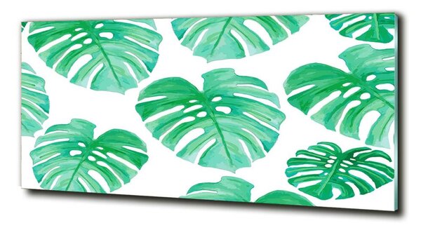 Foto obraz skleněný horizontální Monstera osh-108948322