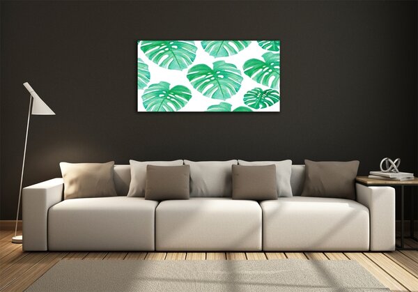 Foto obraz skleněný horizontální Monstera osh-108948322