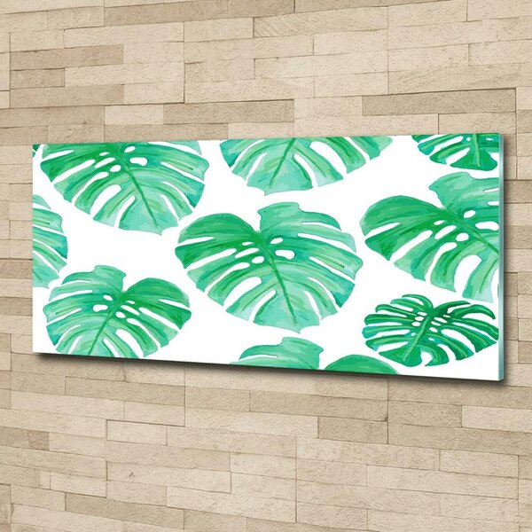 Foto obraz skleněný horizontální Monstera osh-108948322