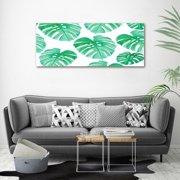 Foto obraz skleněný horizontální Monstera osh-108948322