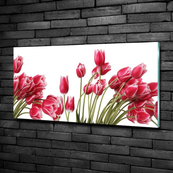 Fotoobraz na skle Červené tulipány osh-109710799