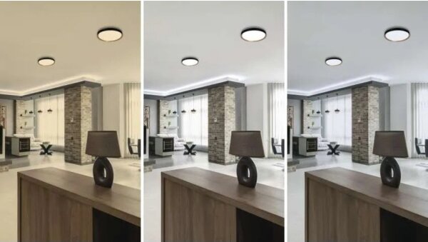 LED Stm stropní svítidlo ILVI LED/30W/230V 2700-6500K pr. 40 cm černá/béžová+DO