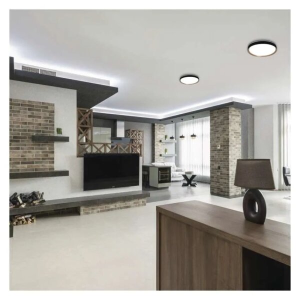 LED Stm stropní svítidlo ILVI LED/30W/230V 2700-6500K pr. 40 cm černá/béžová+DO