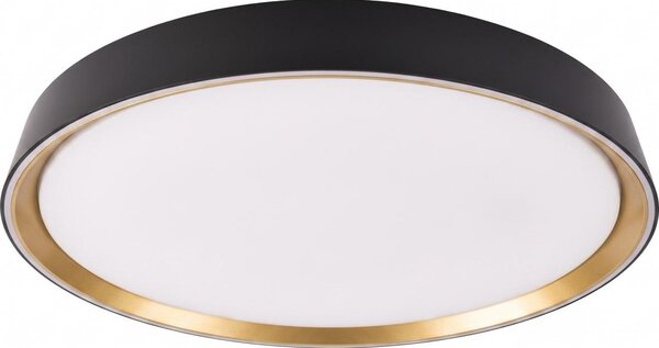 LED Stm stropní svítidlo ILVI LED/45W/230V 2700-6500K pr. 50 cm černá/béžová+DO