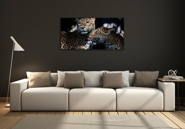 Fotoobraz na skle Dva levharti osh-109930645
