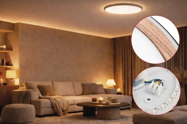 LED Stm stropní svítidlo ILVI LED/45W/230V 2700-6500K pr. 50 cm černá/béžová+DO
