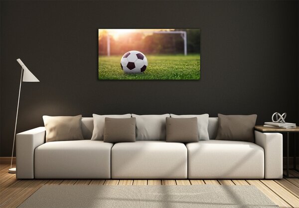 Foto-obraz fotografie na skle Fotbal osh-110116373