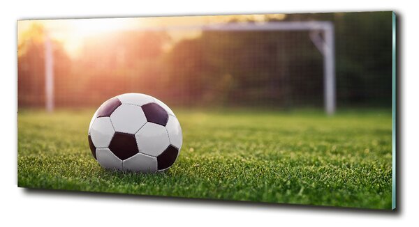 Foto-obraz fotografie na skle Fotbal osh-110116373