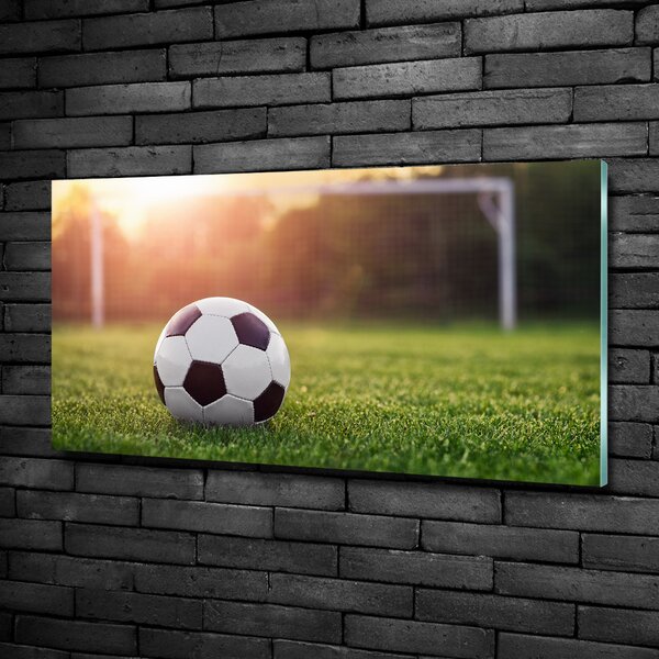 Foto-obraz fotografie na skle Fotbal osh-110116373