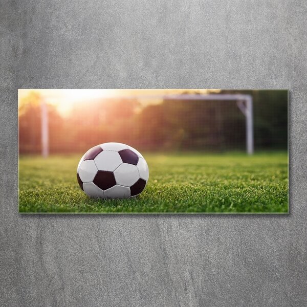 Foto-obraz fotografie na skle Fotbal osh-110116373