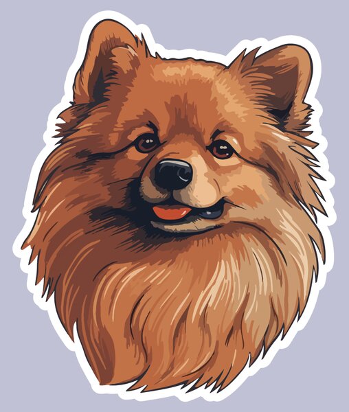 PIPPER. Nálepka Pomeranian Velikost: 60cm