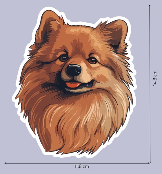 PIPPER. Nálepka Pomeranian Velikost: 60cm