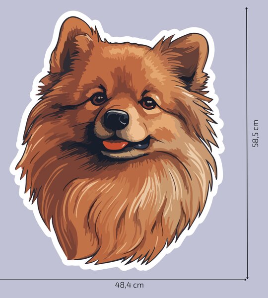 PIPPER. Nálepka Pomeranian Velikost: 60cm