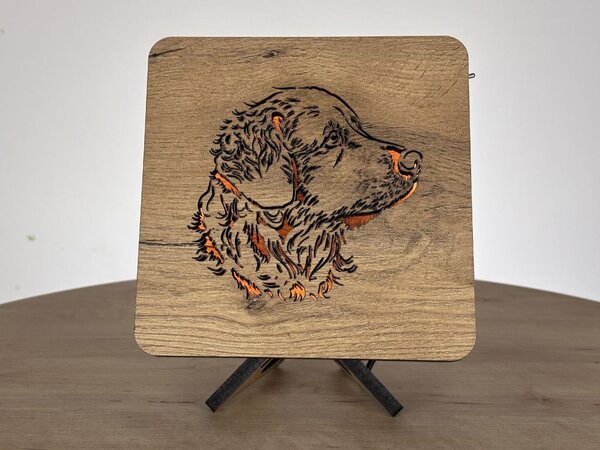 "Labrador štěně" lampa 19x19cm provedení povrchu: dub