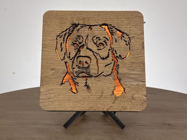 "Rottwailer" lampa 19x19cm provedení povrchu: dub