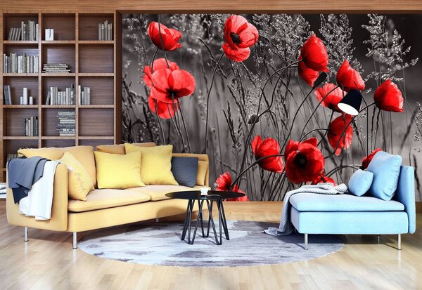 Fototapeta - Vlčí mák (152,5x104 cm)