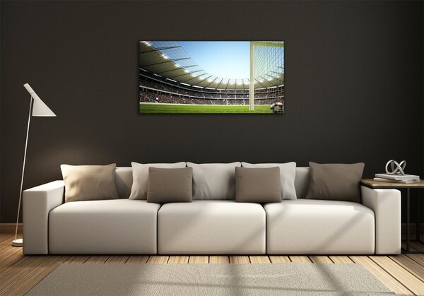 Foto-obrah sklo tvrzené Stadion Francie osh-111693284