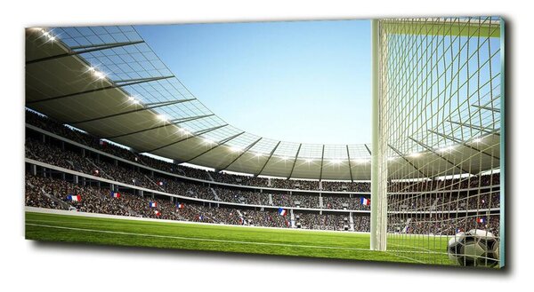 Foto-obrah sklo tvrzené Stadion Francie osh-111693284